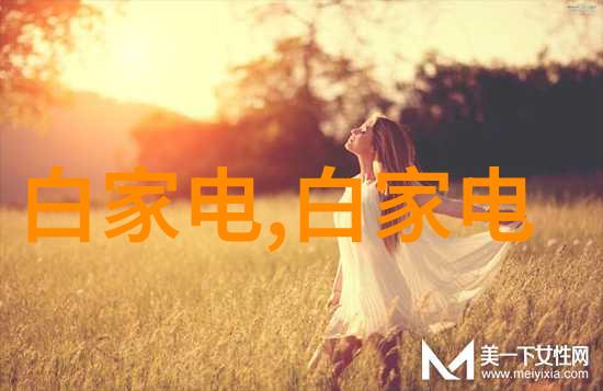 在市场波动时期是否应该推迟购买或寻找稳定性更高的投资渠道
