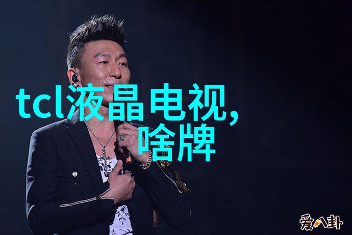 安吉丽娜·朱莉与布拉德·皮特在法国结婚