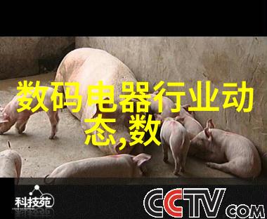 确保稳固三瓣六瓣填料的安装指南