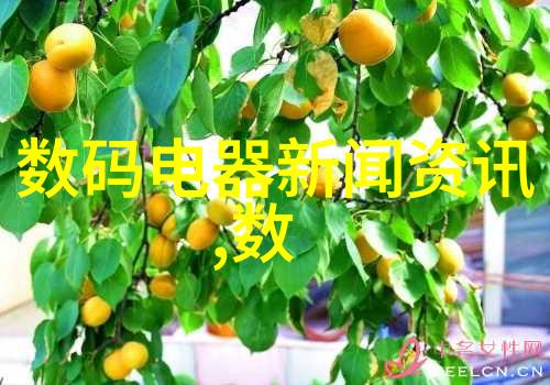 技术创新驱动发展深交博览会引领行业变革