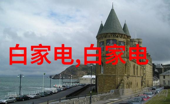家中无人之日哥哥的坚持与我