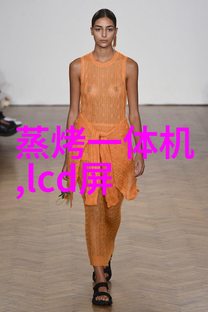 水位显示仪潮涨的秘密守望者