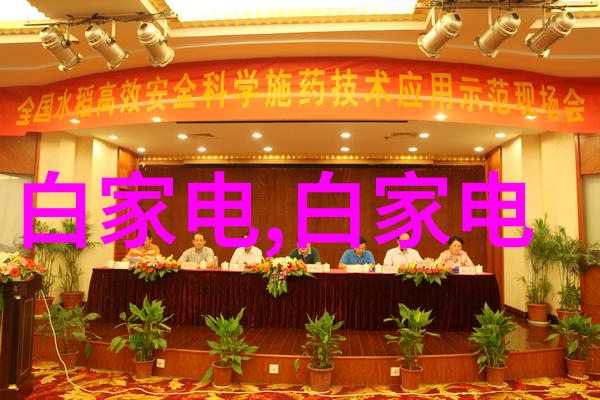 会议室效果图-精致空间布局打造高效会议室的艺术