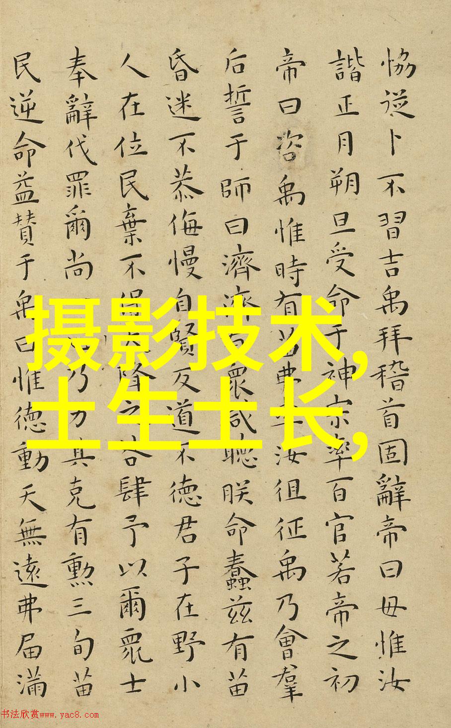 西南财经大学钱潮中的知识港湾