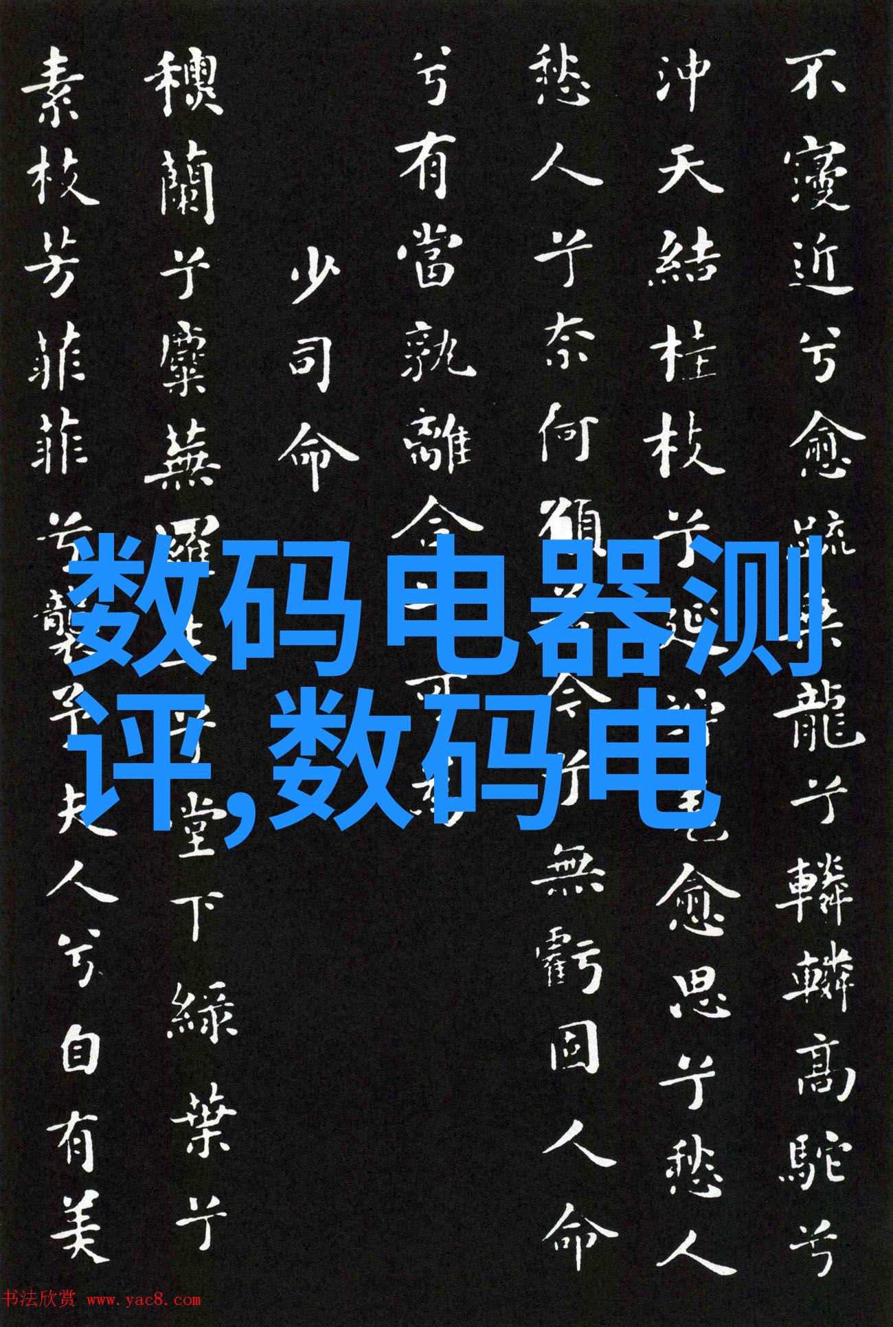 小诗的公交车日记16一17每天上班路上的故事我是这辆车上的目击者