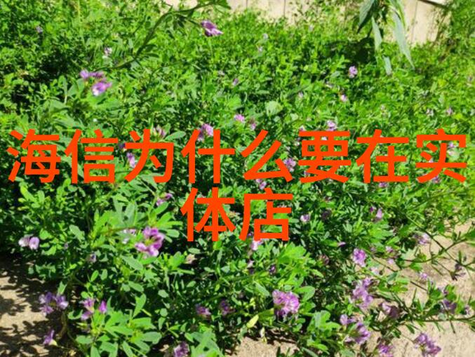 铁艺护栏古典韵味与现代风格的巧妙融合