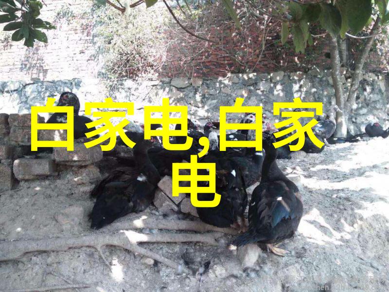 心跳之谜智能手表背后的健康秘密