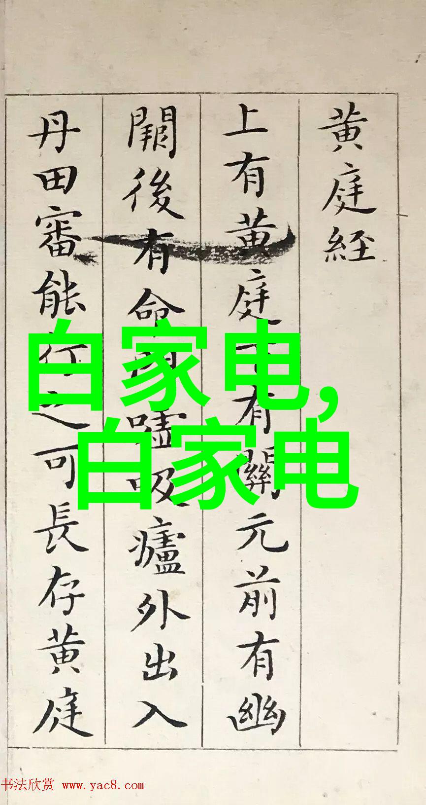 炮灸疗法传统中医治疗技术