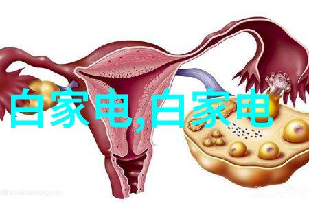 可行性报告我来告诉你这项目能不能跑得通