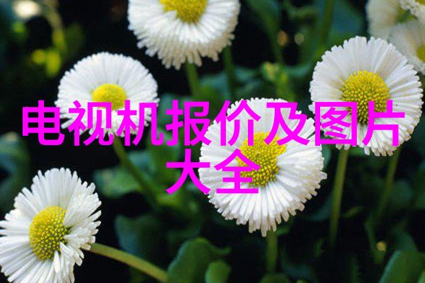 生活废水处理设备技术革新与环境可持续之谜