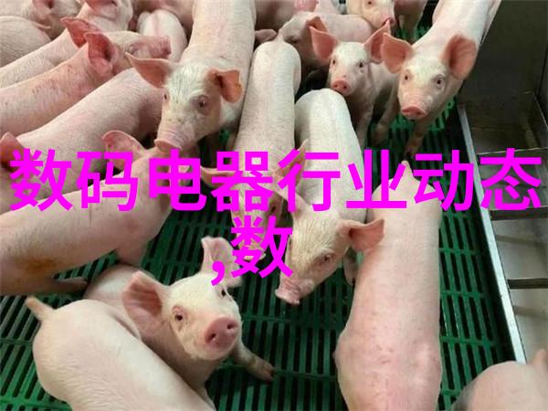 新风时代空气清新的生活选择