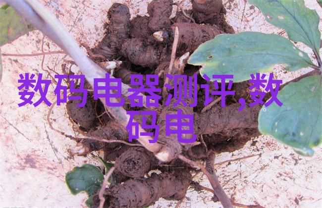 情况报告写作指南如何清晰传达关键信息