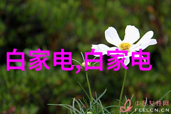 高压蒸汽灭菌锅的类型-剖析不同用途的高压蒸汽灭菌锅从实验室到工业生产