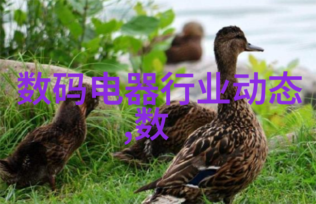 管道系统-PVC下水道管件图片大全详解家用排水解决方案