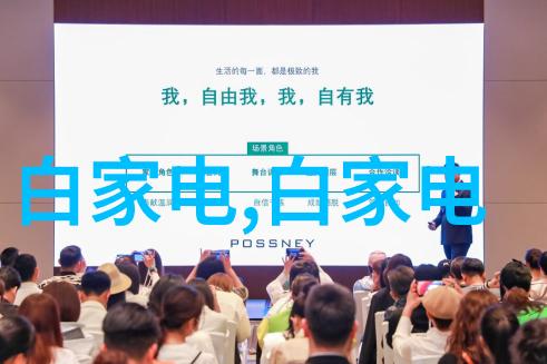厨房装修 - 精致空间从设计到实用性的完美结合