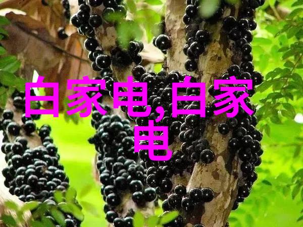 砌墙艺术创意的砌墙技巧和设计灵感