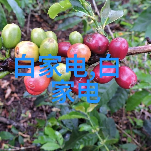 化工过滤设备精细筛选保障产品纯净度