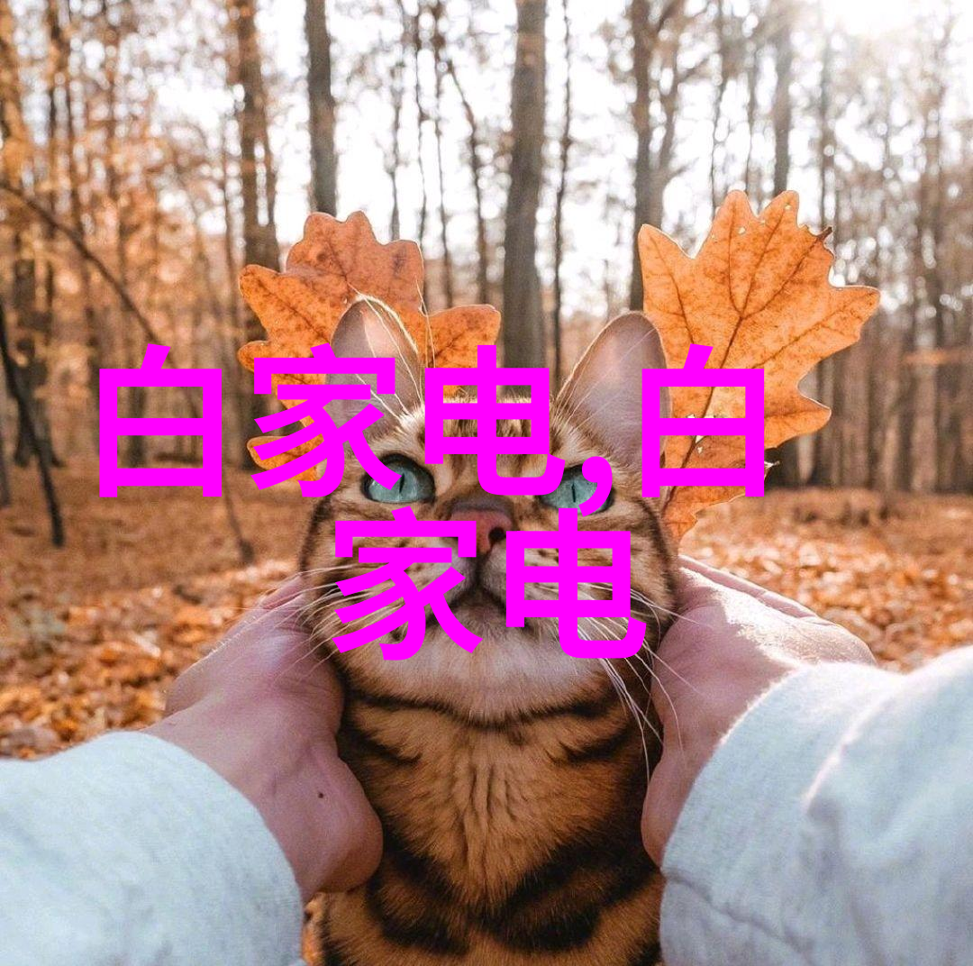 常州干燥设备我的小伙伴在干物件的战斗中默默作战