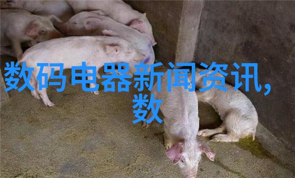 单位测评背后的真正目的是什么