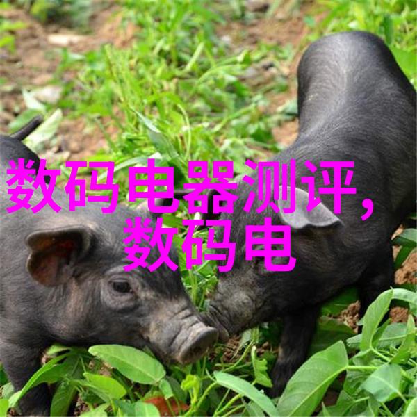 预应力冲孔灌注桩在高速铁路中的作用