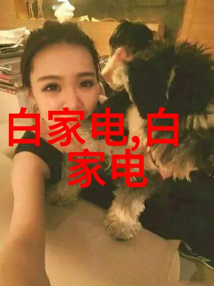 数码电器新闻资讯-智能家居新趋势AI助力家电更智慧