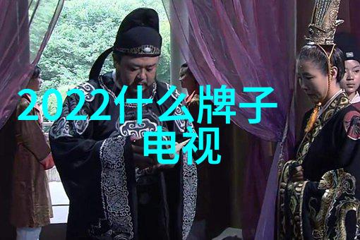 家用电器使用注意事项-安全守护家园的智能伙伴