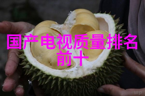 建筑施工图我是如何从零开始画出自己的梦想小屋的