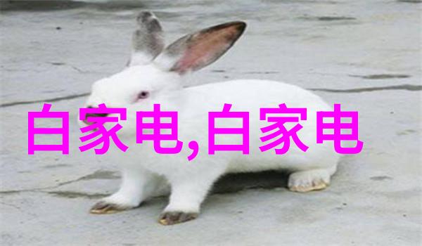亚洲瓷砖色彩与传统的交响