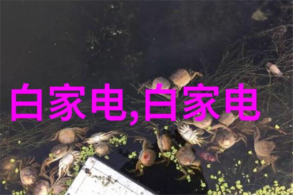 正版手机电视能否避免法律风险