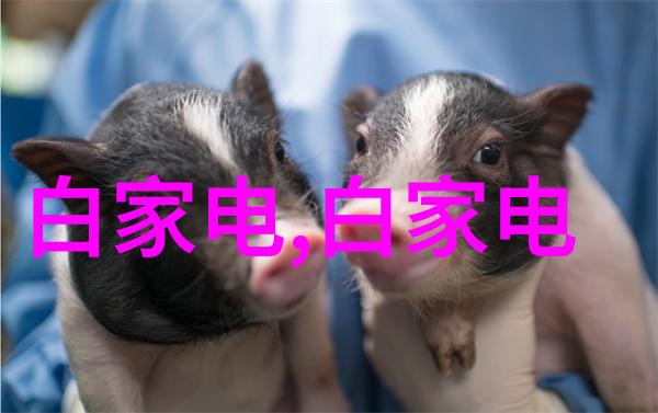 主体水电预埋费用一平方米的真实成本揭秘