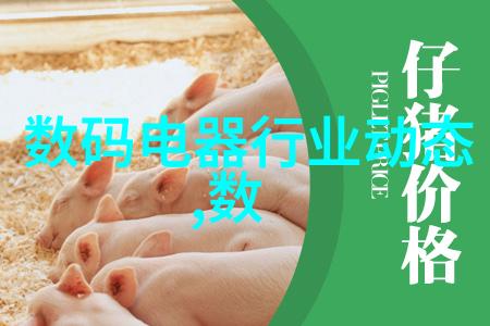 填料网的秘密如何在无形中连接世界