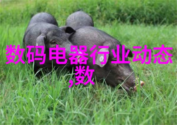 汽车发动机零部件大全 - 车轮的脉搏深度解析汽车发动机关键部件