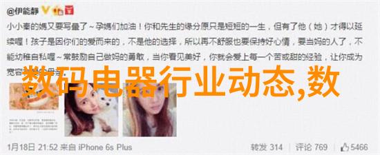 网络安全保卫者揭秘等级保护测评中心的精髓