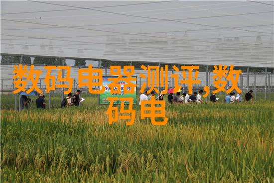 初中毕业学什么技术比较有前途人工智能开发云计算管理数据分析与可视化
