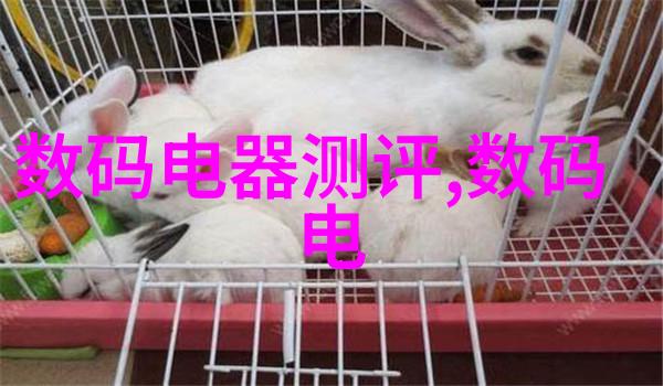 安卓市场官方版背后的秘密是什么