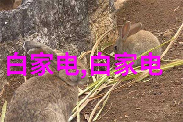 高效利用矿山废物揭开tailings回采复处理和再利用全过程