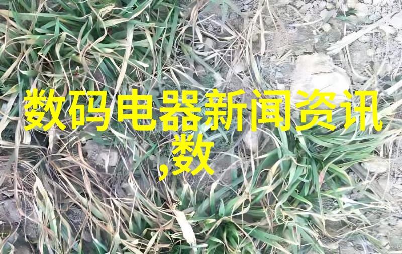 我和铝塑分离机的故事揭秘我的铝塑分离机如何轻松搞定家里的垃圾分类