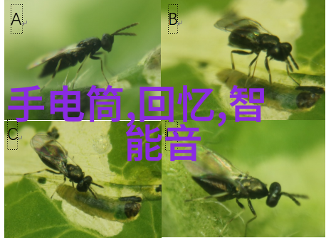 全友共鸣的旅途