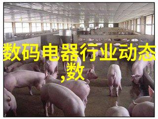 现代化交通管理DCS系统如何优化城市交通流动