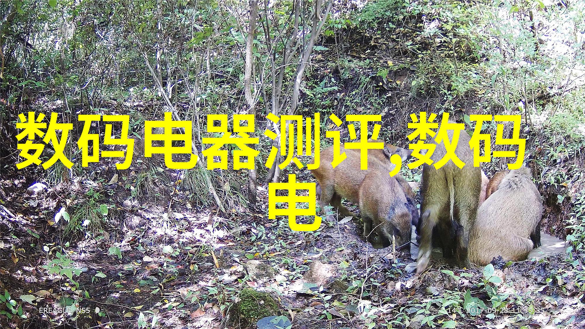 自制不锈钢工艺品图片-手工奇迹探索自制不锈钢工艺品的艺术世界