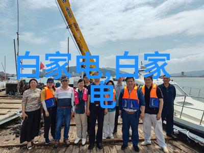 分子生物学-高效液相层析柱在蛋白质纯化中的应用与挑战