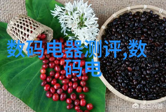 丝网填料与波纹填料的选择与应用优点与缺点对比分析