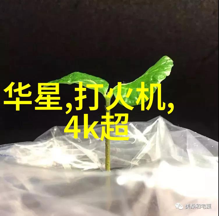 特种车辆霸道的高速巡逻者与救赎的特殊运输
