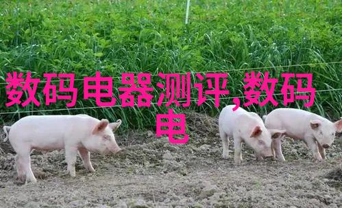 不辞冰雪为卿热txt下载-逆寒冬情深追忆那些共度严冬的爱情故事