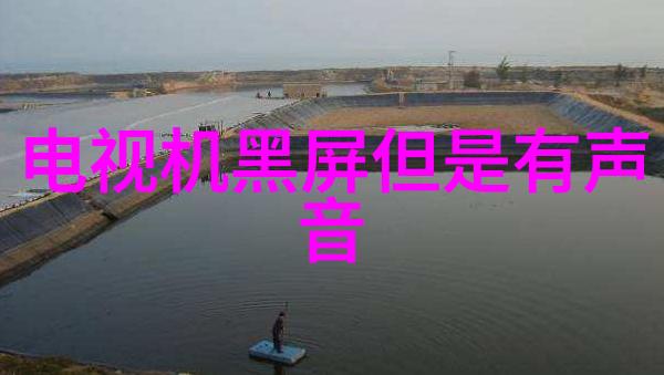 住宅装修设计图的学术探究从空间布局到视觉艺术的融合
