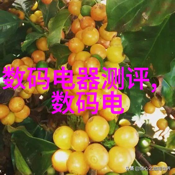 水利水电工程专业学什么课程-河流与山脉的智慧揭秘水利水电工程专业课程体系