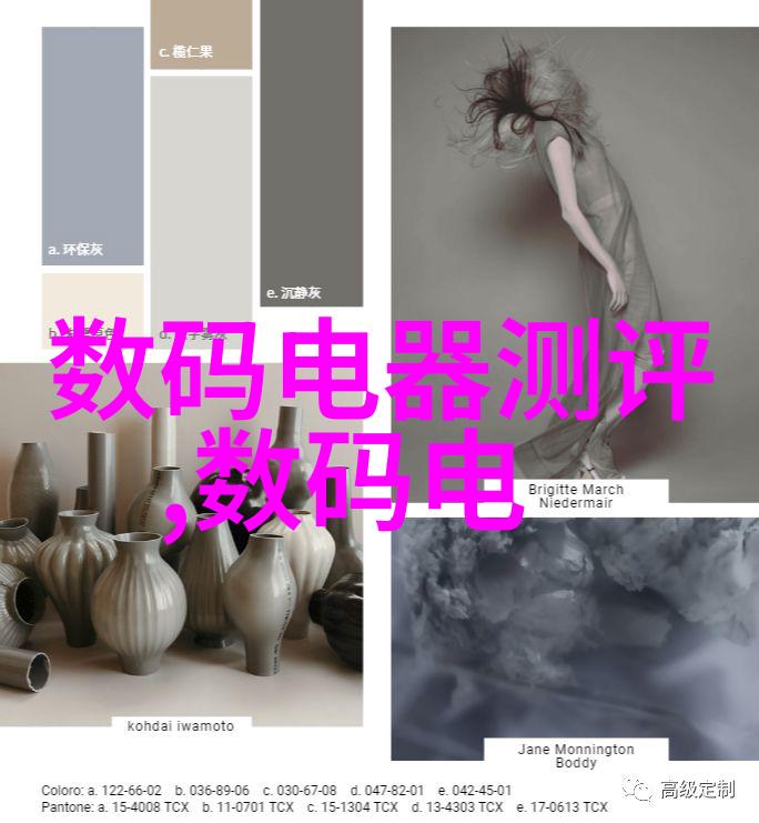 芯片之冠台积电的技术奇迹