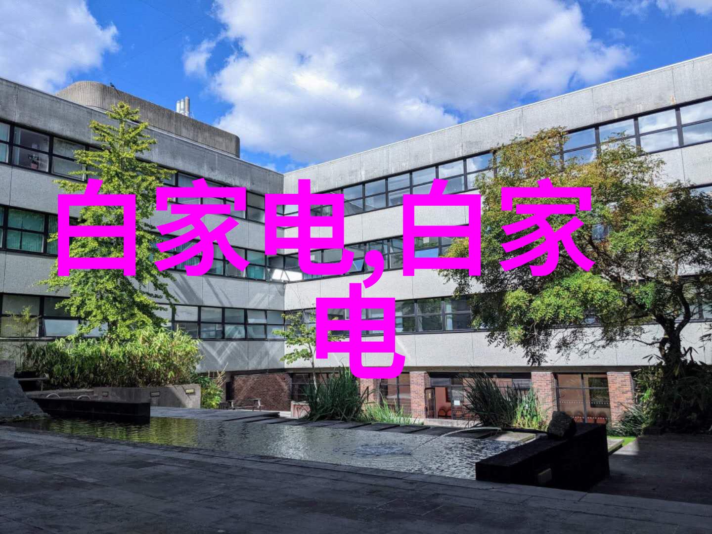 室内设计精选家居美学的完美展示