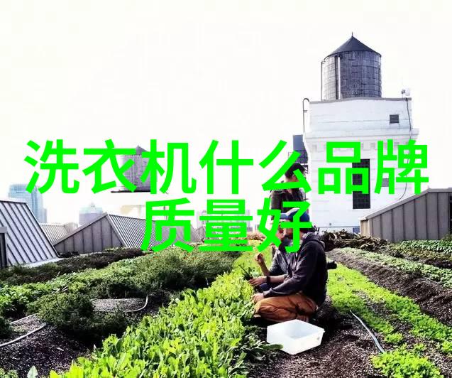 农村房子装修美学指南让乡间小屋焕发魅力