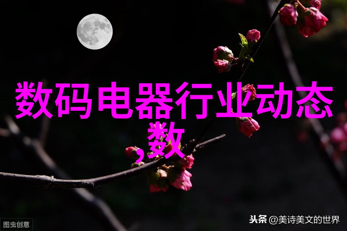 秘密工匠揭开个人申请专利的神秘面纱